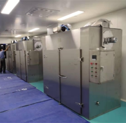 Sterilization Oven – DMH-12